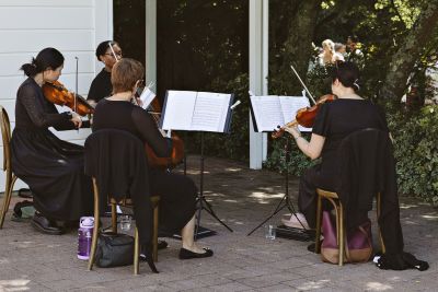 Nikau Quartet